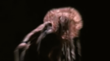 sumutus oravin2 sumutus oravin2
