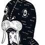 tiere wie wir (who is the walrus?) tiere wie wir (who is the walrus?)